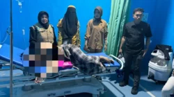 Diduga Cemburu, Wanita di Kolaka Utara Tikam Istri Muda Suaminya 13 Diduga Cemburu, Wanita di Kolaka Utara Tikam Istri Muda Suaminya