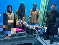 Diduga Cemburu, Wanita di Kolaka Utara Tikam Istri Muda Suaminya