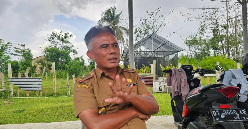 Ayam Petelur di Mubar Hasilkan 12 Ribu Butir Telur per Hari, Distan Klaim Program 100 Hari Bupati Berjalan Sukses