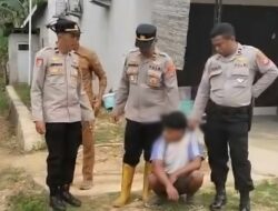 Pencurian Sapi Resahkan Warga Muna Barat, Polsek Tikep Tangkap Pelaku