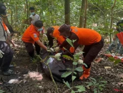 Hilang 9 Hari di Kebun, Warga Manuru Buton Ditemukan Meninggal Dunia