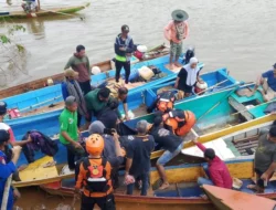 Korban Serangan Buaya di Sungai Lasolo Konut Ditemukan Meninggal