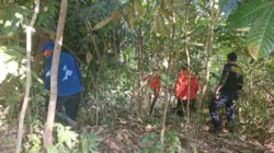 Hilang Sejak 29 September, Pencarian Pria 61 Tahun di Konawe Utara Dihentikan Tim SAR 3 Hilang Sejak 29 September, Pencarian Pria 61 Tahun di Konawe Utara Dihentikan Tim SAR
