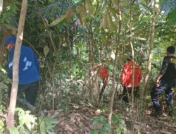 Hilang Sejak 29 September, Pencarian Pria 61 Tahun di Konawe Utara Dihentikan Tim SAR