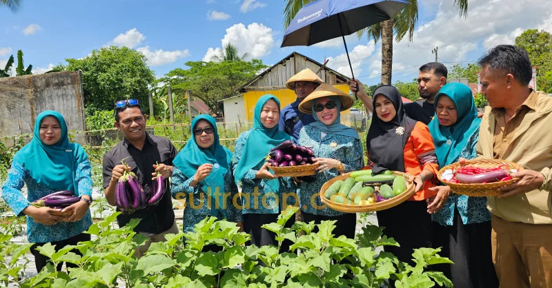 Dukung Program Ketahanan Pangan, TP PKK Muna Barat Panen Sayur di Tiworo Kepulauan