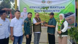 Anggota DPR RI Jaelani Serahkan Ribuan Bibit Produktif ke Petani Muna Barat untuk Dukung Pertanian Berkelanjutan 14 Anggota DPR RI Jaelani Serahkan Ribuan Bibit Produktif ke Petani Muna Barat untuk Dukung Pertanian Berkelanjutan