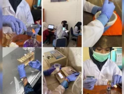 Mahasiswa UMW Kendari Kembangkan Krim Probiotik Anti Acne Berbasis Liposomal Lewat PKM