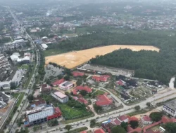 Benarkah Lahan Anduonohu Bisa Dibangun? Mengurai Status APL dan Aturan Mangrove