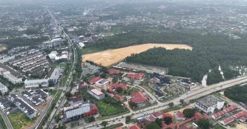 Benarkah Lahan Anduonohu Bisa Dibangun? Mengurai Status APL dan Aturan Mangrove