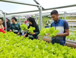 Pertamina Patra Niaga Sulawesi Dukung Kemandirian Pangan Lewat Program CSR di Maros