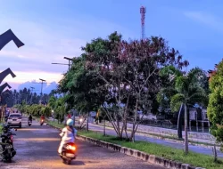 Wakatobi Jadi Satu-satunya Daerah di Sultra yang Tidak Rawan Banjir, Ini Penjelasan BMKG