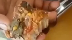 Siswa SMAN 1 Lawa Temukan Ulat di Menu Ikan MBG, Kepala Sekolah Janji Perketat Pengawasan 16 Siswa SMAN 1 Lawa Temukan Ulat di Menu Ikan MBG, Kepala Sekolah Janji Perketat Pengawasan