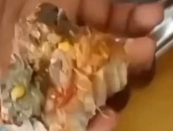 Siswa SMAN 1 Lawa Temukan Ulat di Menu Ikan MBG, Kepala Sekolah Janji Perketat Pengawasan