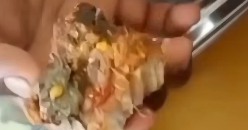 Siswa SMAN 1 Lawa Temukan Ulat di Menu Ikan MBG, Kepala Sekolah Janji Perketat Pengawasan 1 Siswa SMAN 1 Lawa Temukan Ulat di Menu Ikan MBG, Kepala Sekolah Janji Perketat Pengawasan