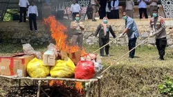 Balai Karantina Sultra Musnahkan 34 Kg Daging Sapi Ilegal dari Jakarta 3 Balai Karantina Sultra Musnahkan 34 Kg Daging Sapi Ilegal dari Jakarta