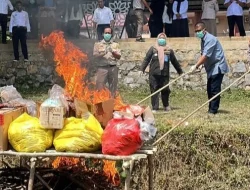 Balai Karantina Sultra Musnahkan 34 Kg Daging Sapi Ilegal dari Jakarta