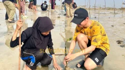 Kolaborasi Kementerian dan Komunitas Hijaukan Pesisir Waworaha dengan 500 Mangrove