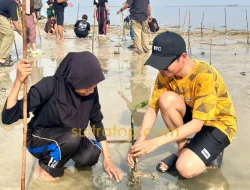 Kolaborasi Kementerian dan Komunitas Hijaukan Pesisir Waworaha dengan 500 Mangrove