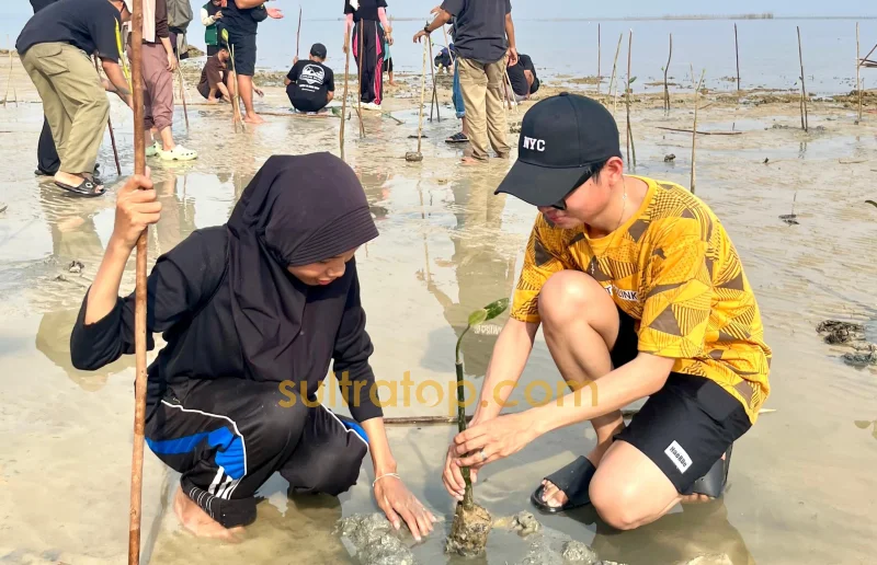 Kolaborasi Kementerian dan Komunitas Hijaukan Pesisir Waworaha dengan 500 Mangrove