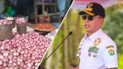 Pengendalian Inflasi: Gubernur ASR Kirim Petani Studi Komoditas Cabe dan Bawang Merah di Enrekang