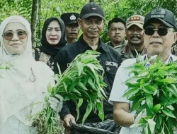 ASR Buka Akses Belajar Gratis untuk Petani Milenial di BBIH Konsel, Dorong Ketahanan Pangan Sultra