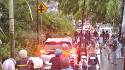 Pohon Tumbang Timpa Tiang Listrik, Kemacetan Terjadi di Terminal Warumusio Baubau 4 Pohon Tumbang Timpa Tiang Listrik, Kemacetan Terjadi di Terminal Warumusio Baubau