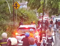 Pohon Tumbang Timpa Tiang Listrik, Kemacetan Terjadi di Terminal Warumusio Baubau