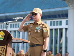 Gubernur Sultra Serahkan 2.606 SK PPPK Paruh Waktu Formasi 2024