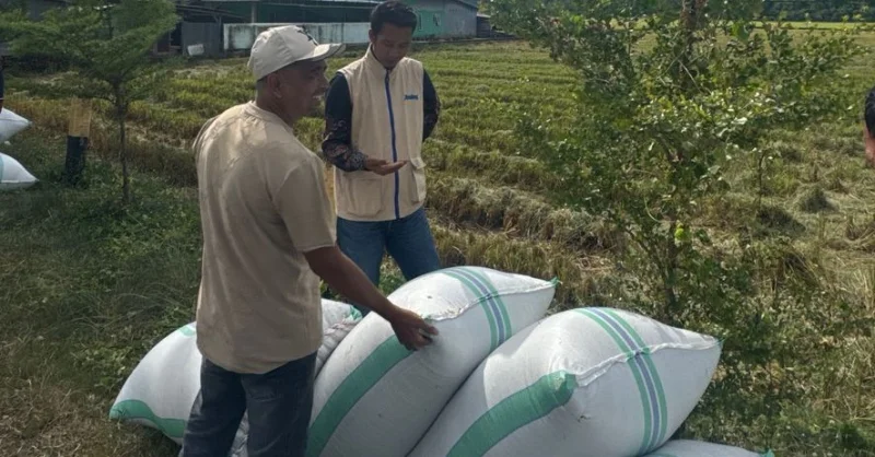 Bulog Bombana Mulai Serap Gabah Petani, Target 2026 Capai 64,5 Juta Kg 1 Bulog Bombana Mulai Serap Gabah Petani, Target 2026 Capai 64,5 Juta Kg