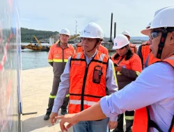 MIND ID Apresiasi Progres Proyek Hilirisasi Nikel PT Vale di Pomalaa