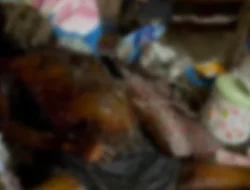 Mayat Lansia Ditemukan Membusuk di Rumah Sendiri di Muna Barat