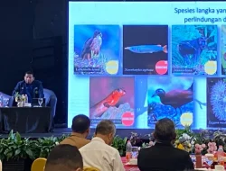 Riset Internasional Ungkap Nilai Global Wallacea di Sulawesi, Ancaman Tambang Nikel Jadi Sorotan