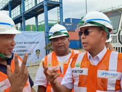 Sulawesi Tenggara Masuk Rantai Pasok Global, 46 Kontainer Nikel Diekspor Langsung ke China