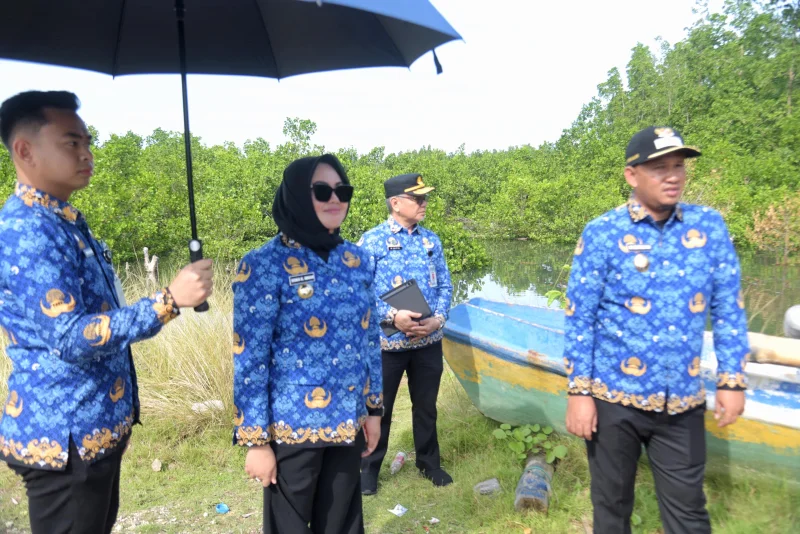 Wali Kota Kendari Tinjau Aset Daerah di Purirano, Pastikan Pemanfaatan Sesuai Ketentuan 1 Wali Kota Kendari Tinjau Aset Daerah di Purirano, Pastikan Pemanfaatan Sesuai Ketentuan