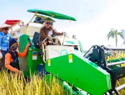 Gubernur ASR Panen Perdana Hasil Perbanyakan Benih Padi dan Bagikan Bibit di Wawotobi