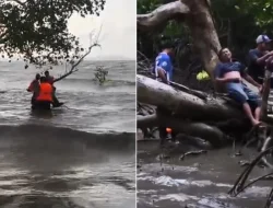 Kesaksian Korban Speedboat KM Maligano Star: Kami Panik, Semua Lompat ke Laut
