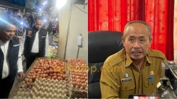 Harga Sembako di Kendari Awal Maret 2026 Terpantau Stabil 6 Harga Sembako di Kendari Awal Maret 2026 Terpantau Stabil