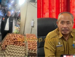 Harga Sembako di Kendari Awal Maret 2026 Terpantau Stabil