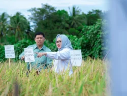 PT Vale Dorong Ketahanan Pangan, Panen Demplot Padi Berkelanjutan di Kolaka Tunjukkan Hasil Positif