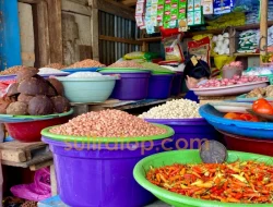 Harga Sejumlah Bahan Pokok di Kendari Mulai Naik Jelang Lebaran