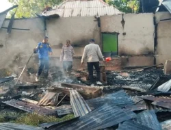 Diduga Lalai Matikan Tungku, Rumah di Muna Barat Terbakar, Kerugian Ditaksir Rp250 Juta