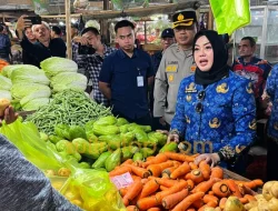 Sidak 4 Pasar di Kendari, Wali Kota Temukan Kenaikan Harga Cabai, Telur hingga Daging