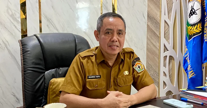 Pemprov Sultra Seleksi 18 Sapi Kurban Presiden, Prioritaskan Asal Daerah Masing-Masing 1 Pemprov Sultra Seleksi 18 Sapi Kurban Presiden, Prioritaskan Asal Daerah Masing-Masing