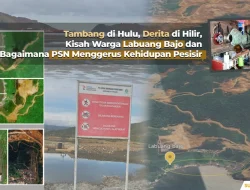 Tambang di Hulu, Derita di Hilir, Kisah Warga Labuang Bajo dan Bagaimana PSN Menggerus Kehidupan Pesisir