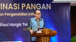 BI Sultra Ungkap Pemicu Inflasi, Harga Beras dan Ikan Masih Mendominasi