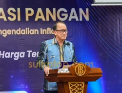 BI Sultra Ungkap Pemicu Inflasi, Harga Beras dan Ikan Masih Mendominasi