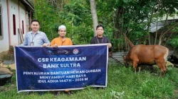 Bank Sultra Salurkan 23 Ekor Sapi Kurban ke Seluruh Wilayah Sulawesi Tenggara 3 Bank Sultra Salurkan 23 Ekor Sapi Kurban ke Seluruh Wilayah Sulawesi Tenggara