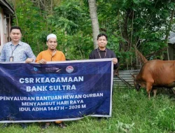 Bank Sultra Salurkan 23 Ekor Sapi Kurban ke Seluruh Wilayah Sulawesi Tenggara