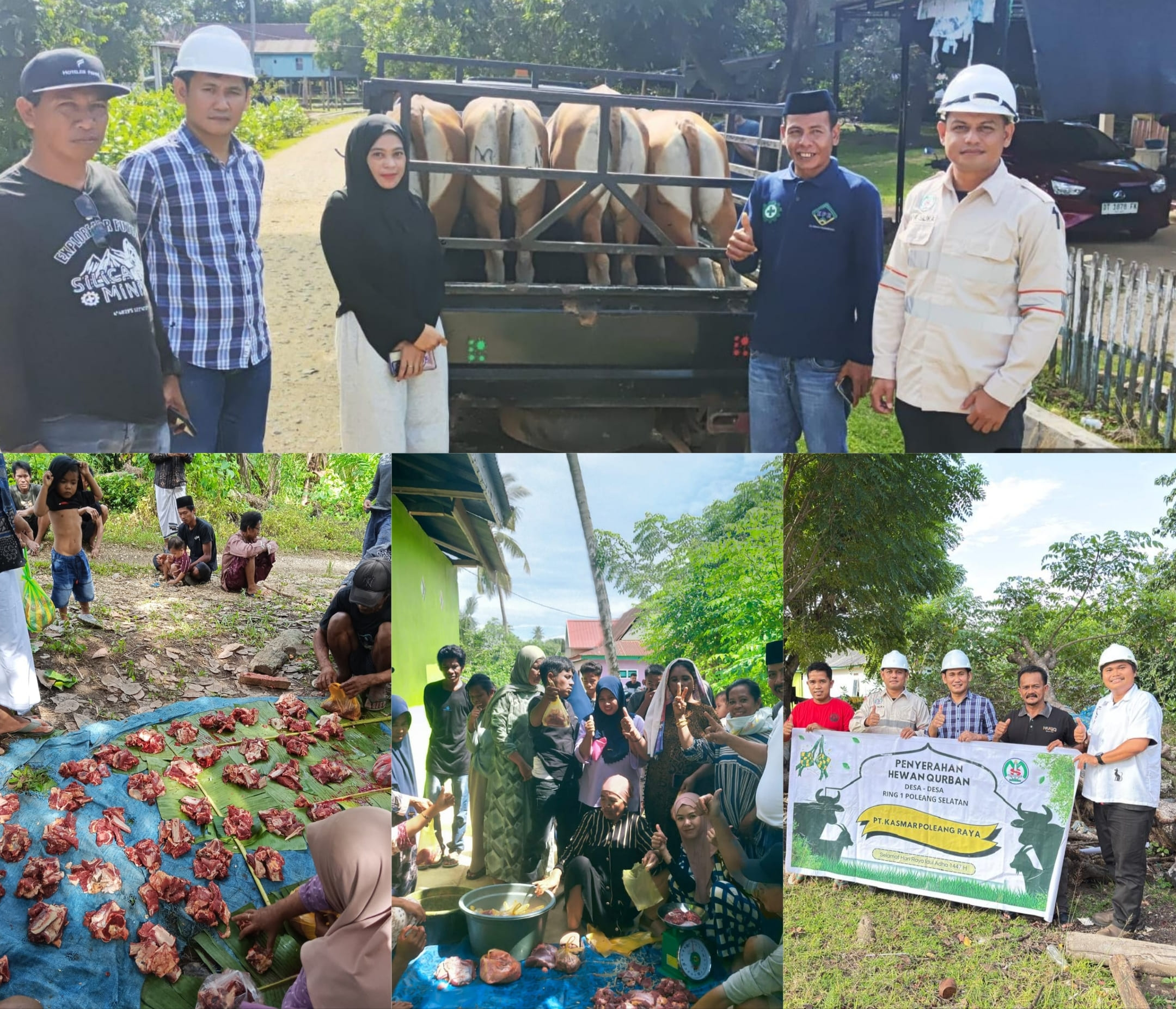 PT KPR Silika Hidupkan Ekonomi Peternak Lokal di Bombana Lewat Program Kurban Iduladha 3 PT KPR Silika Hidupkan Ekonomi Peternak Lokal di Bombana Lewat Program Kurban Iduladha