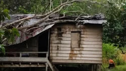Hujan Deras dan Angin Kencang di Muna Barat, Rumah Janda Lansia Rusak Tertimpa Pohon 5 Hujan Deras dan Angin Kencang di Muna Barat, Rumah Janda Lansia Rusak Tertimpa Pohon